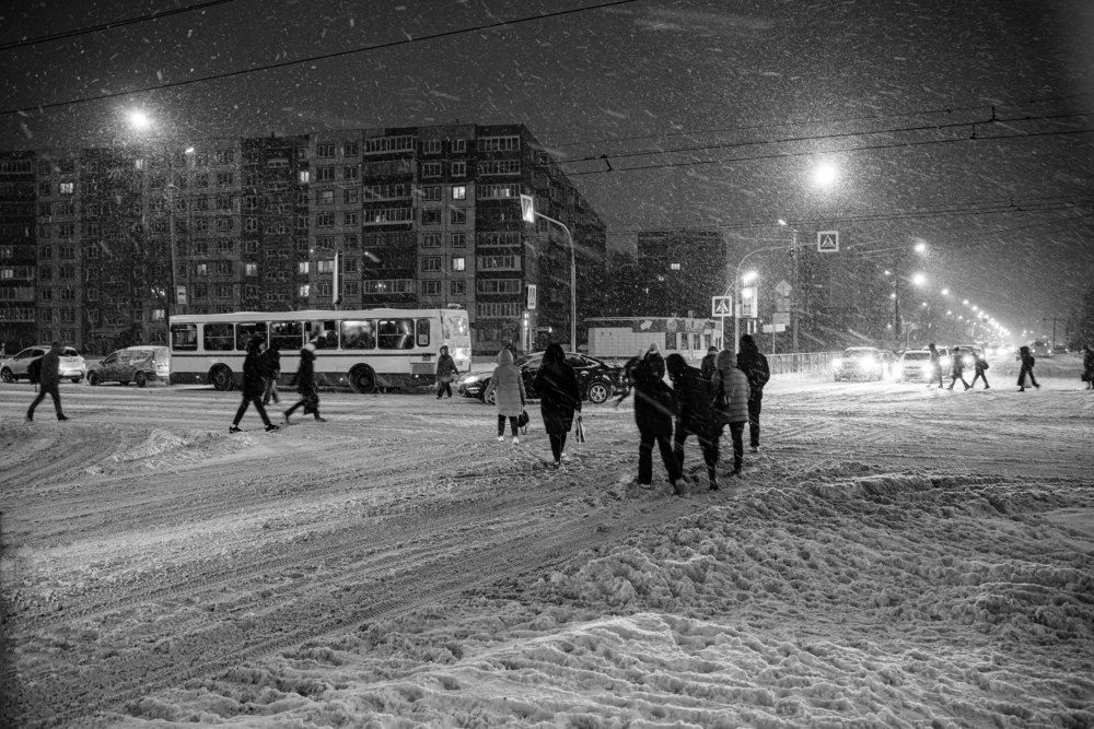 Photograph by Наталья Камайкина