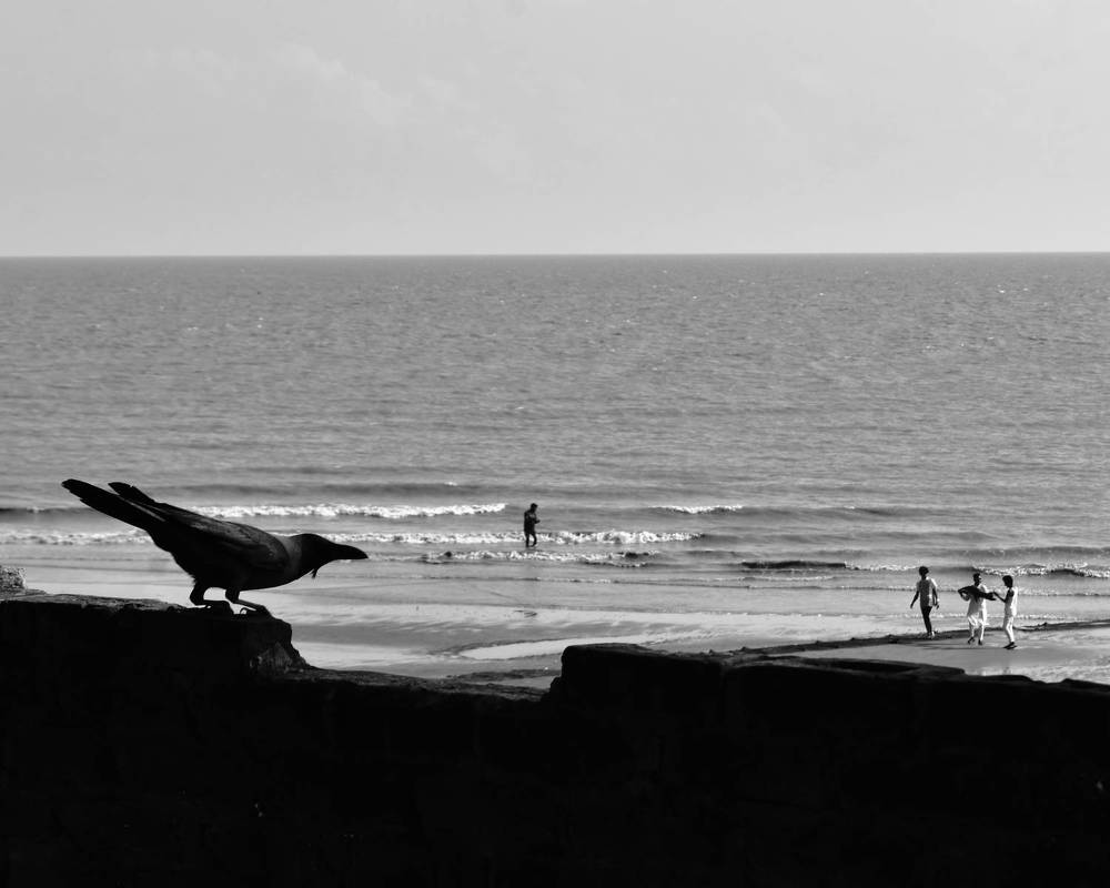 Photograph by Hasan Mehedi Amin