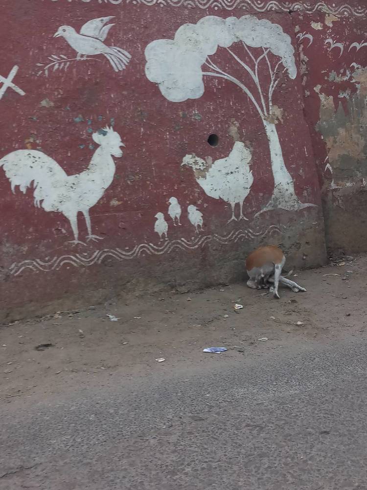 Photograph by B.Ramasubbaiah