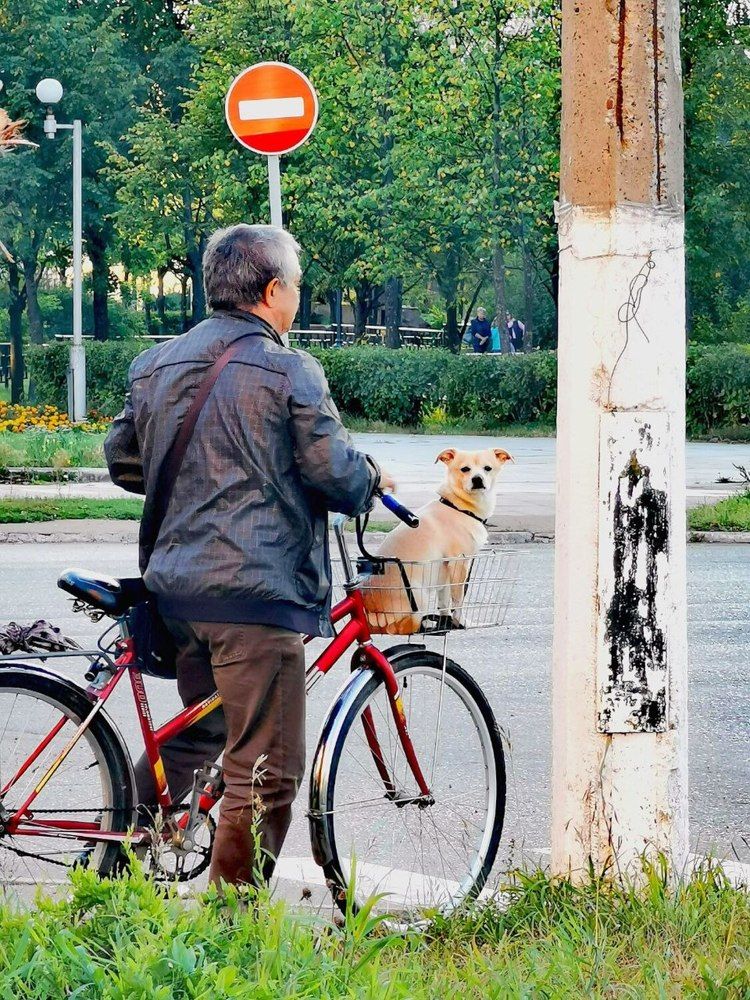 Фотография автора Андрей Богданов
