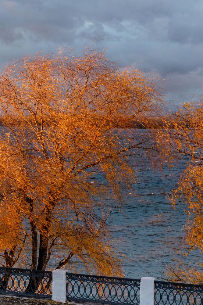 Photograph by Елена Демина