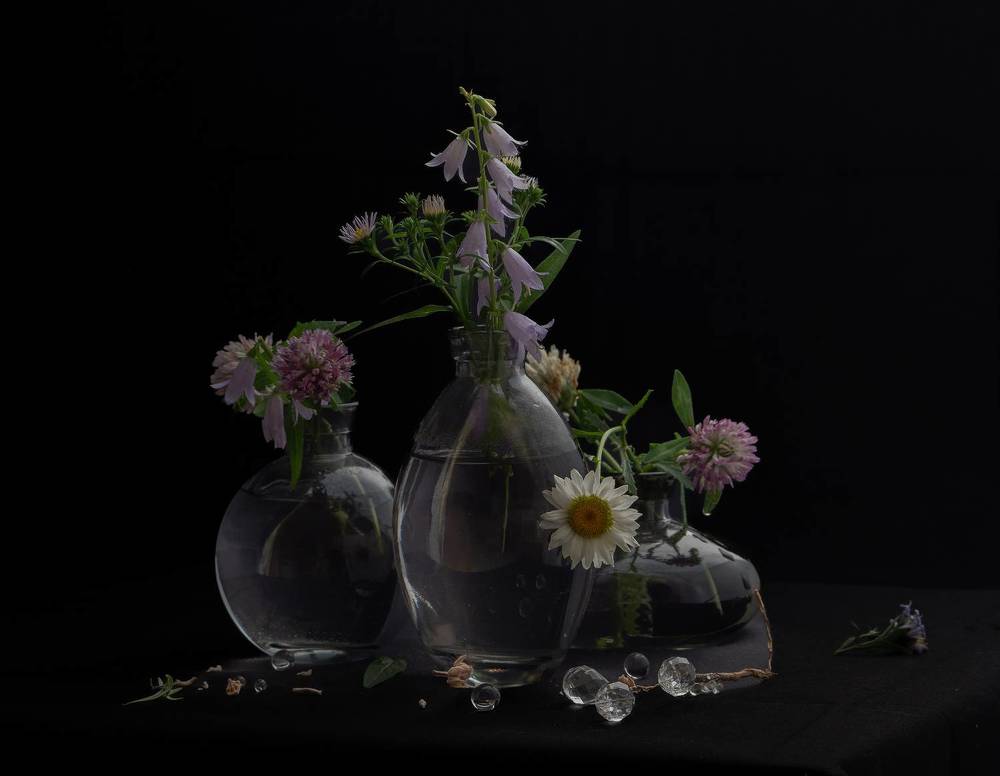 натюрморт на черном