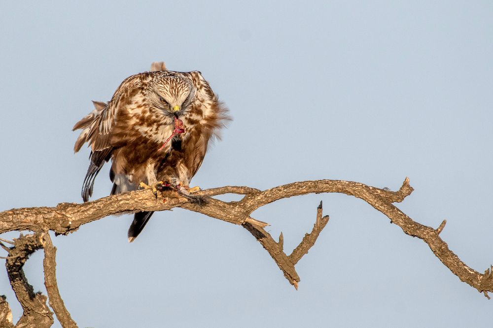 Photograph by константин