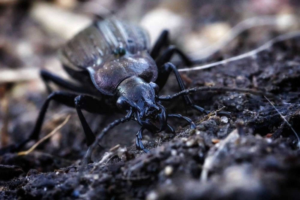 Photograph by Сергей Назаредский