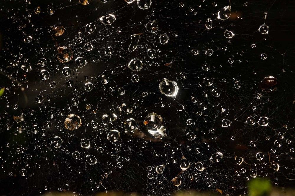 Photograph by Сергей Назаредский