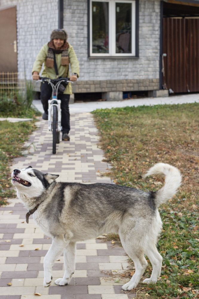 Photograph by Елена Беланенко