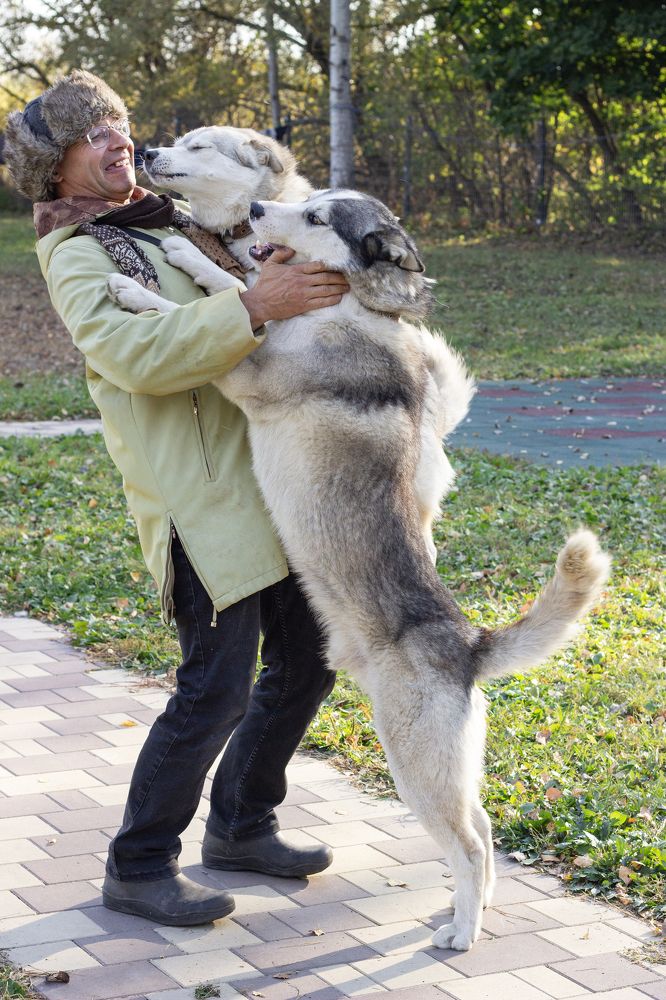 Photograph by Елена Беланенко