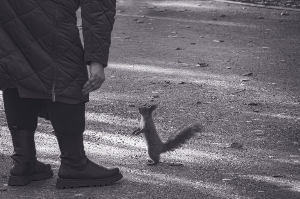 Photograph by Виктор Саврей