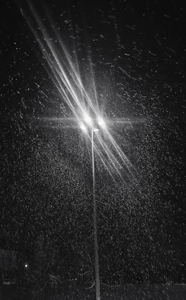 Photograph by Сидорова Ирина