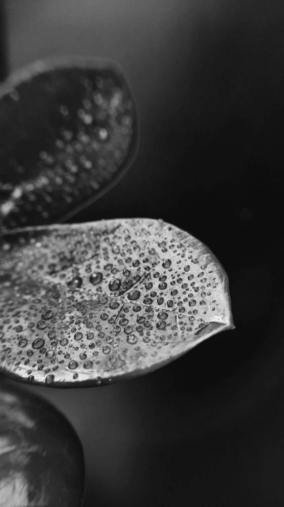 Фотография автора Анна Морозова