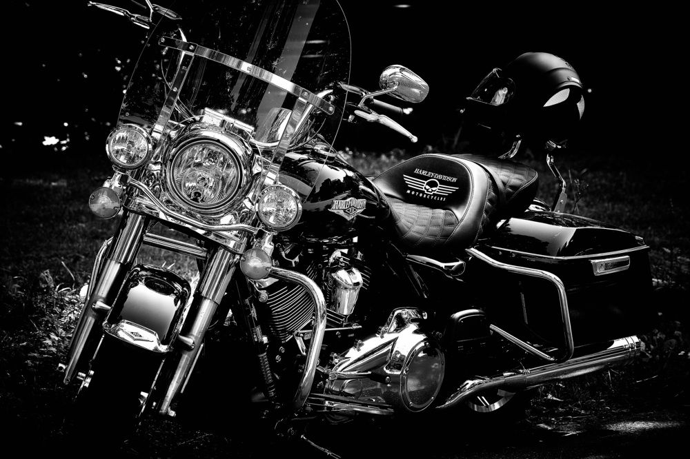 Фотография автора VIZO VIZO