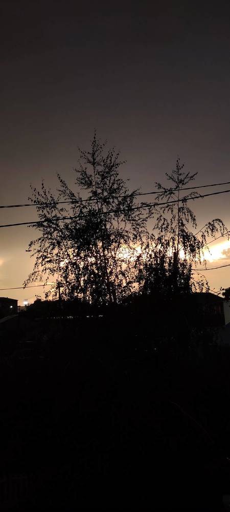 Фотография автора Анна Морозова