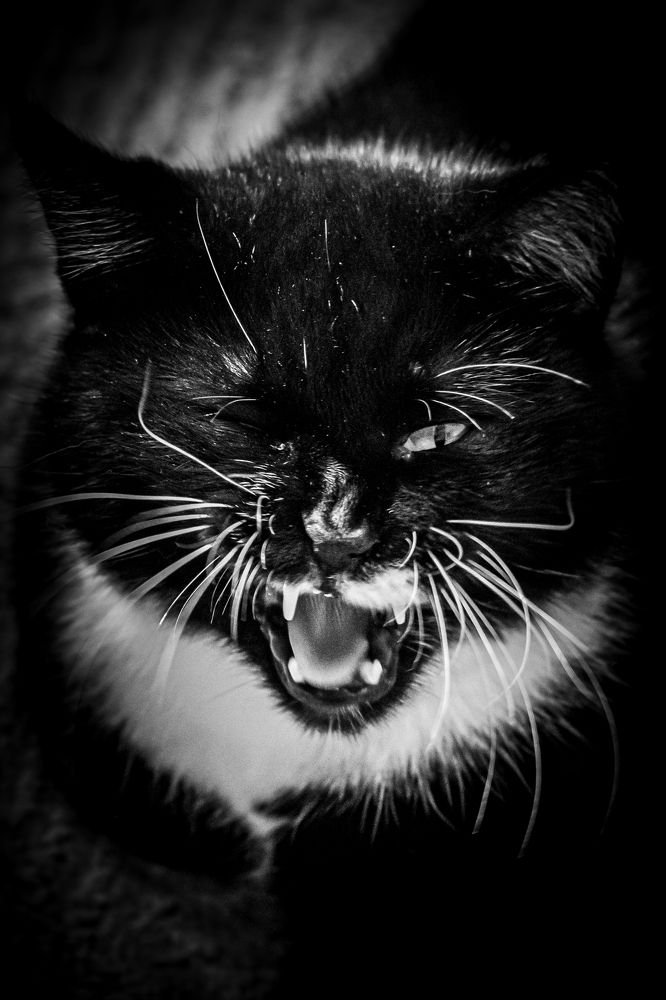 Photograph by Елена Берсенёва