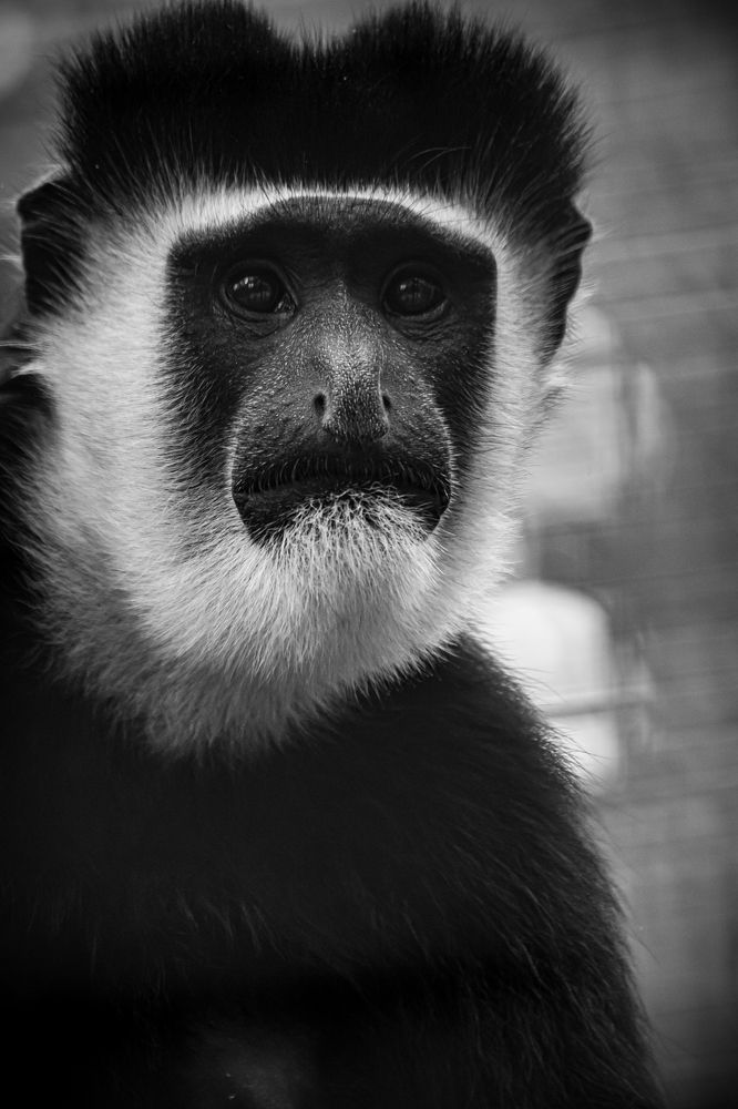 Photograph by Елена Берсенёва