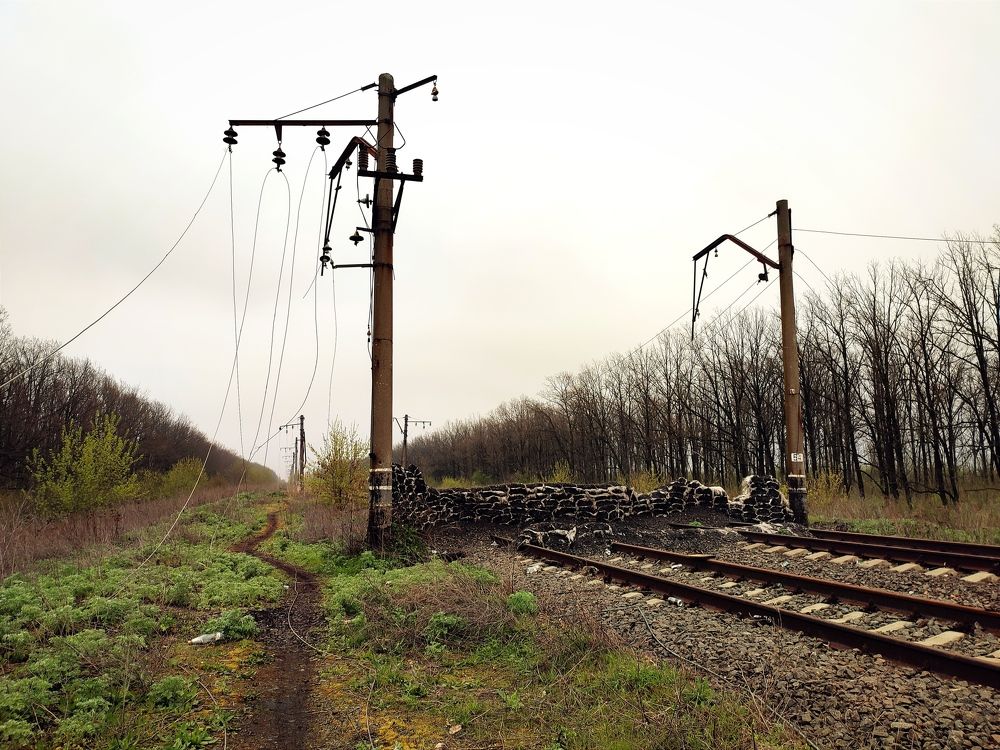 Фотография автора Виктор Степанов
