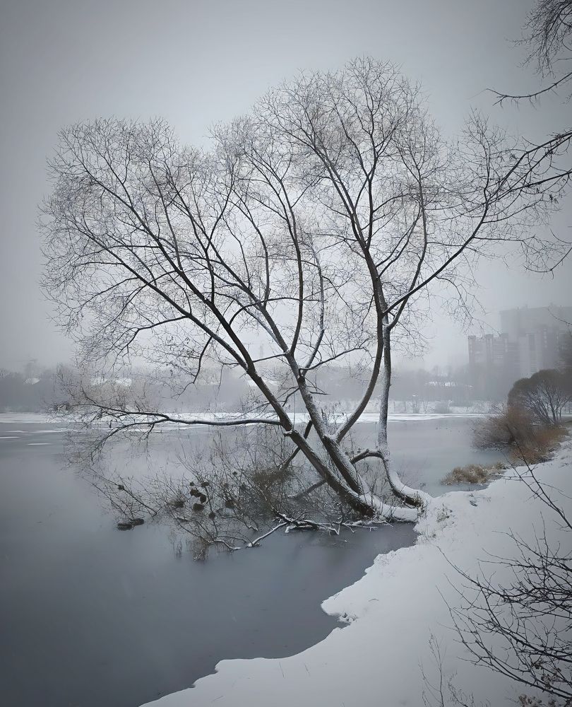 Первый снег, тонкий лёд.