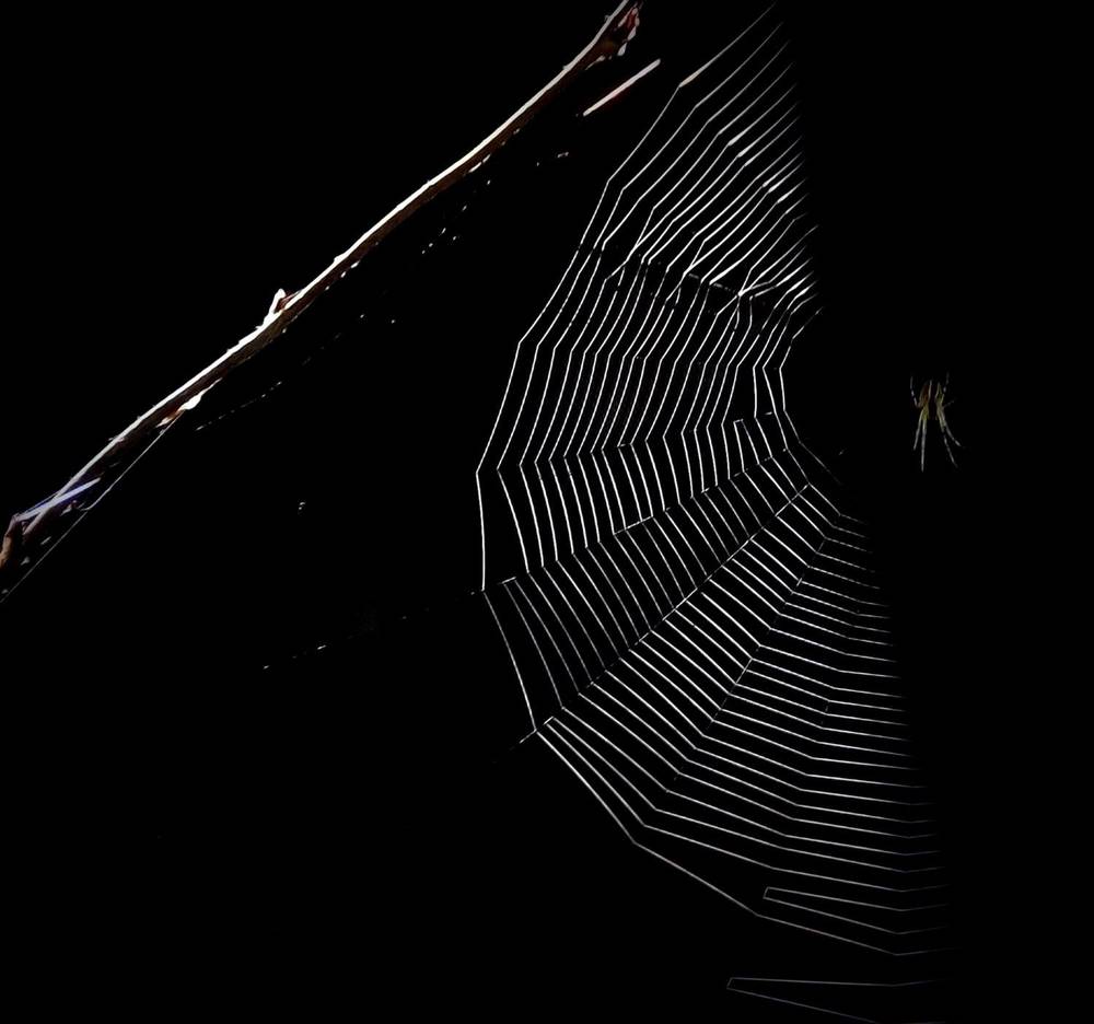 Фотография автора Александр