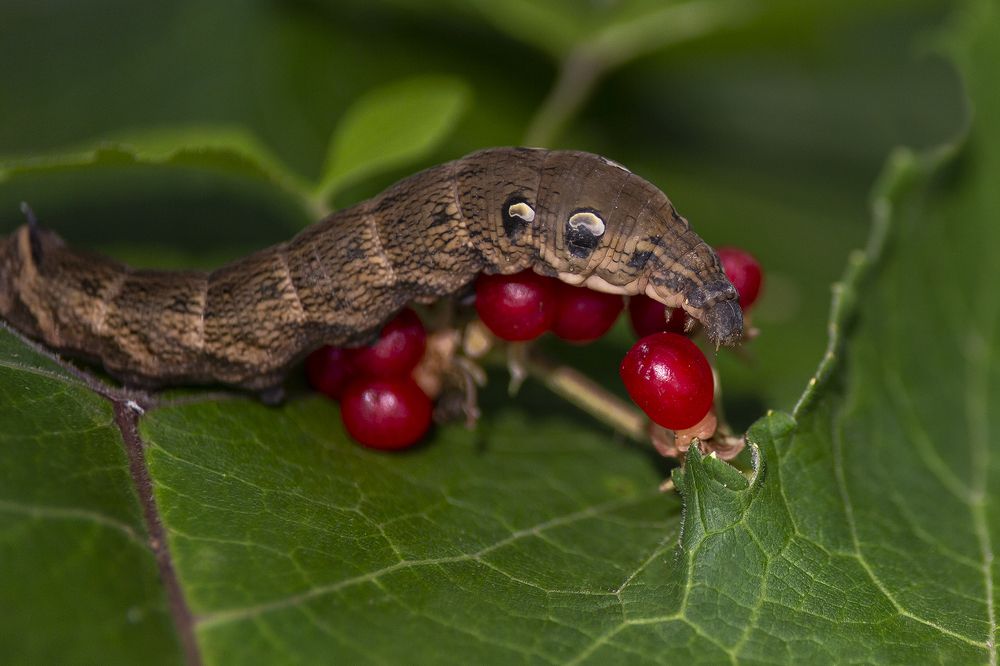 Photograph by Олег Тетерин