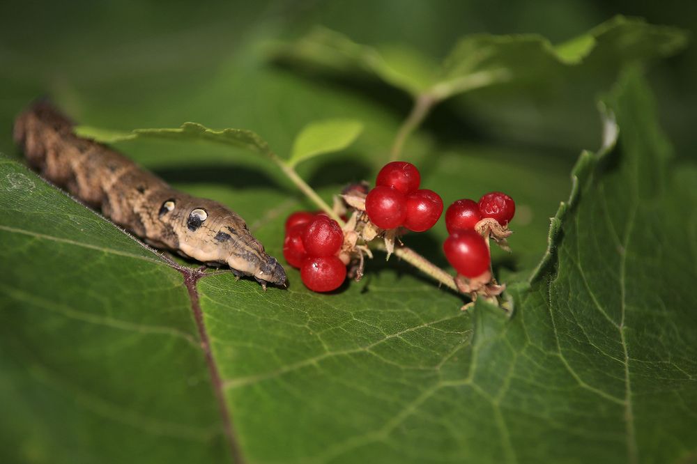 Photograph by Олег Тетерин