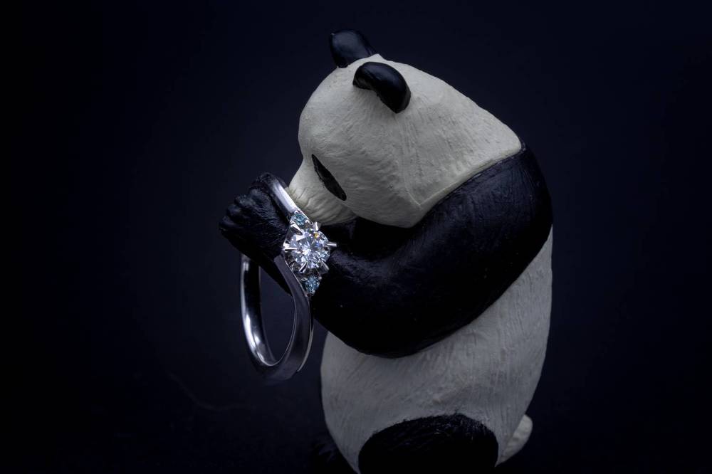 Photograph by NAGUMO SHUTO