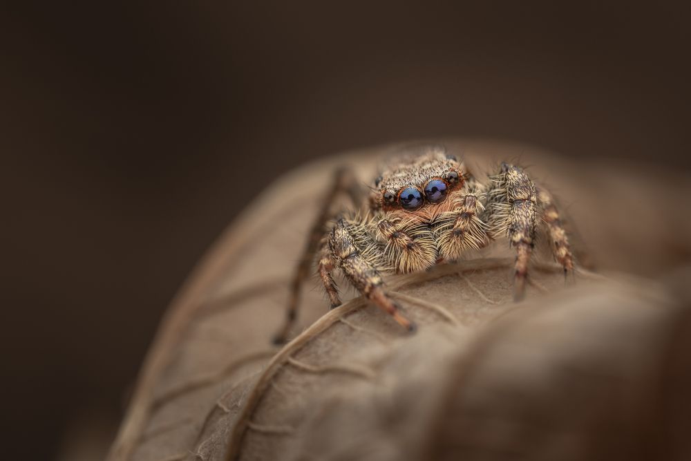 Фотография автора Krisztina Mácsai