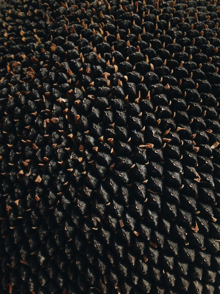 Photograph by Алексей Еремеев