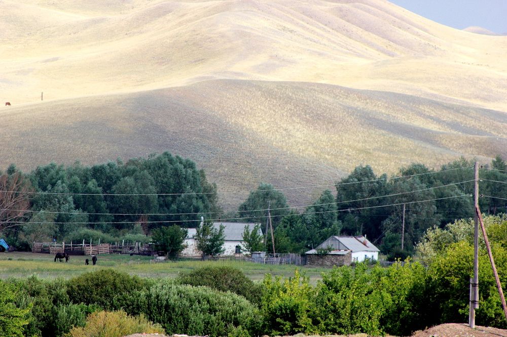 Фотография автора Sholpan Saten