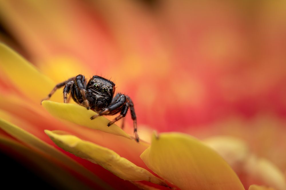 Фотография автора Krisztina Mácsai