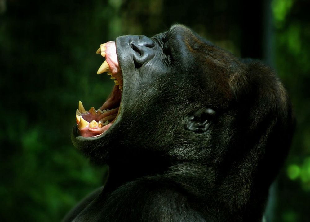 Photograph by Александр