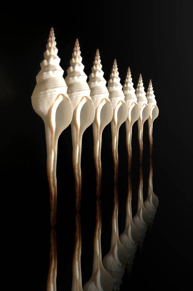 Photograph by Алексей Горин