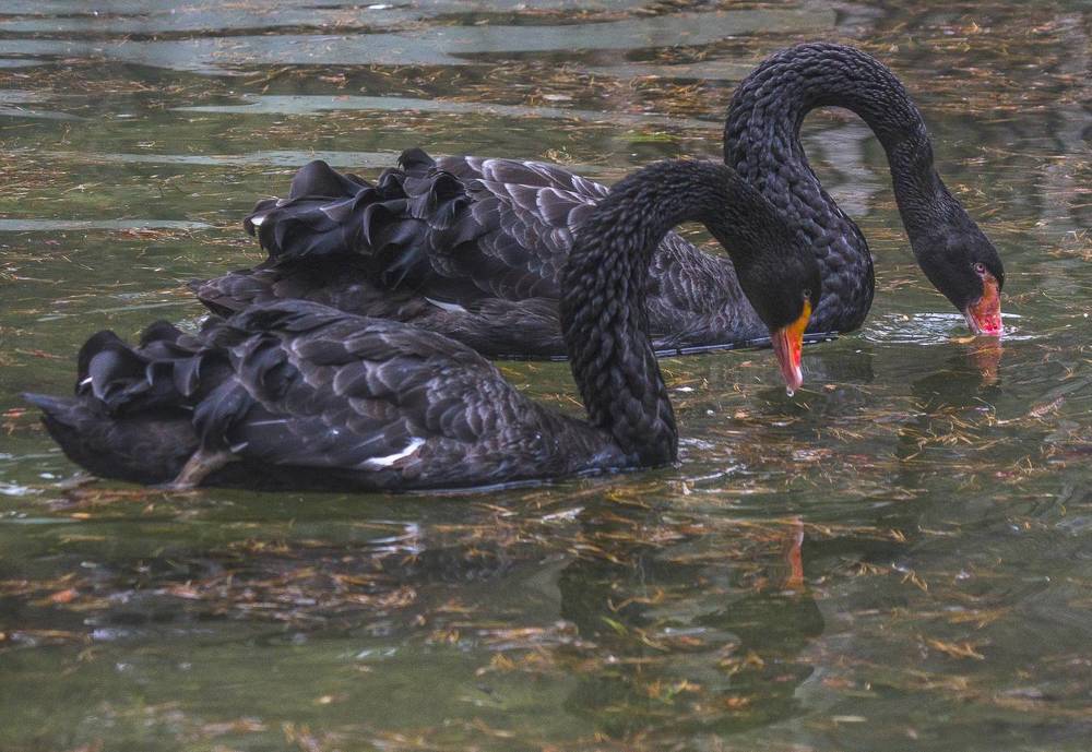 Photograph by Михаил Измайлов