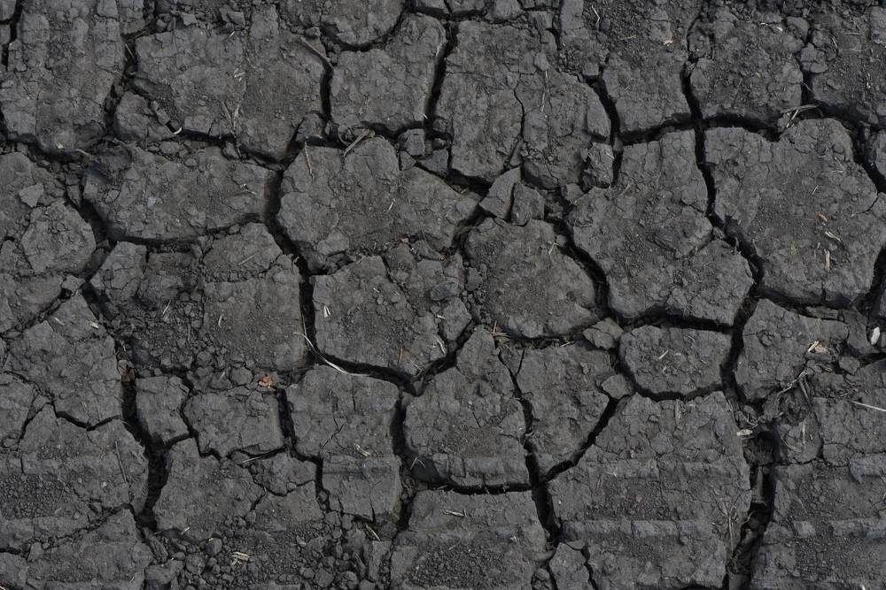 Photograph by Людмила Воропаева