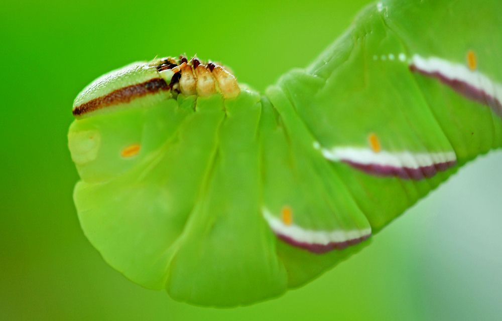 Photograph by Marjo Steffen