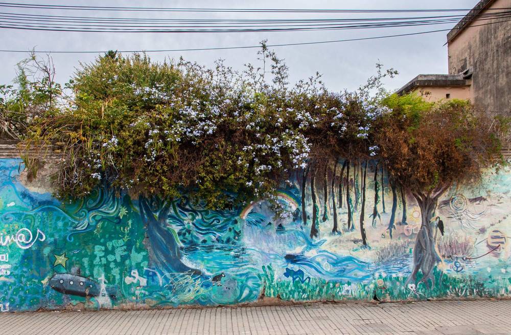 Photograph by Jorge Bagnuoli