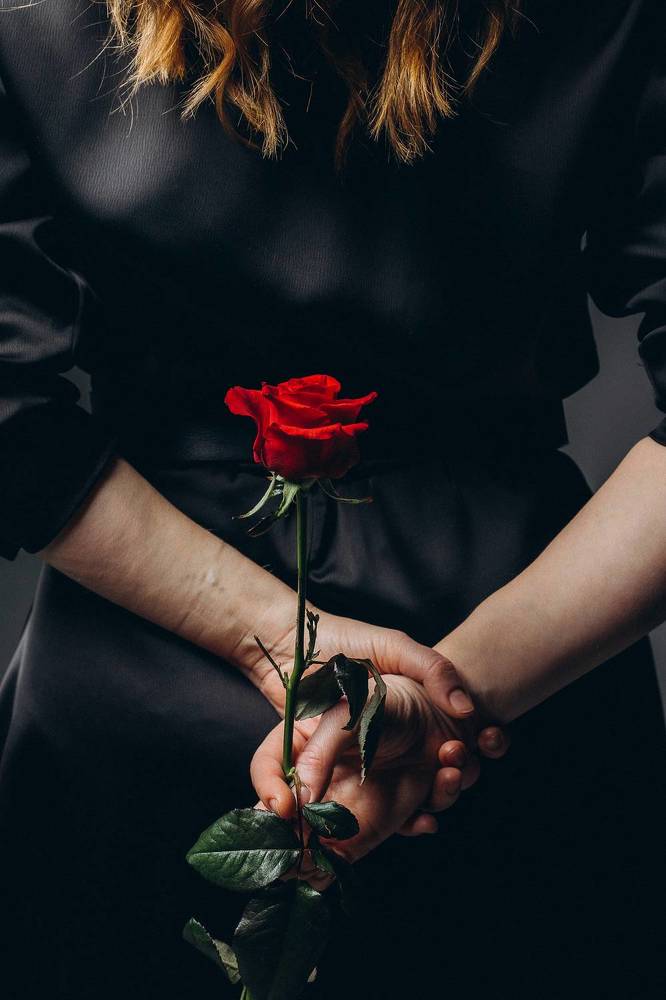 Фотография автора Светлана Владимировна