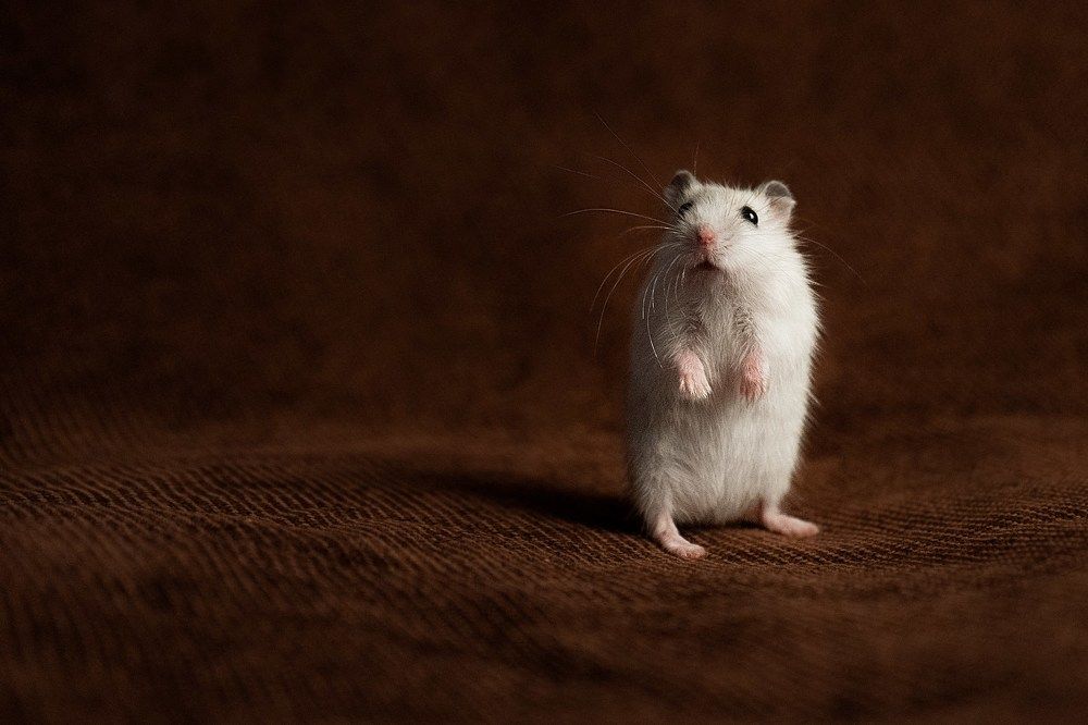 Photograph by Анна Марковская