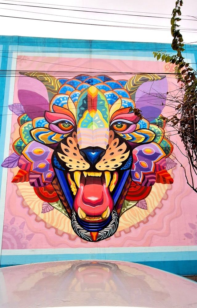 Фотография автора Diego Cesar Monroy Chaparro