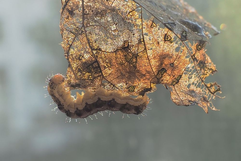 Photograph by Татьяна Эрбутаева