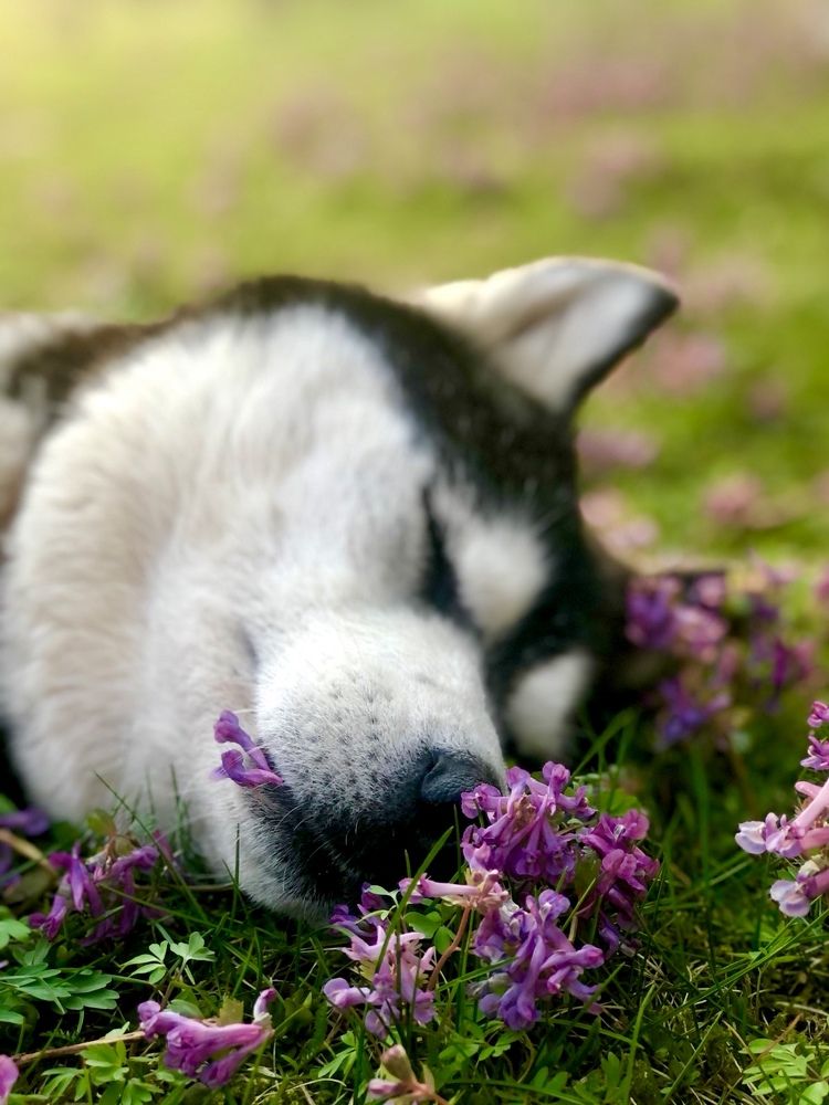 Photograph by Екатерина Павловец