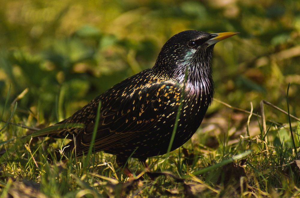 Photograph by Наталья Екимова