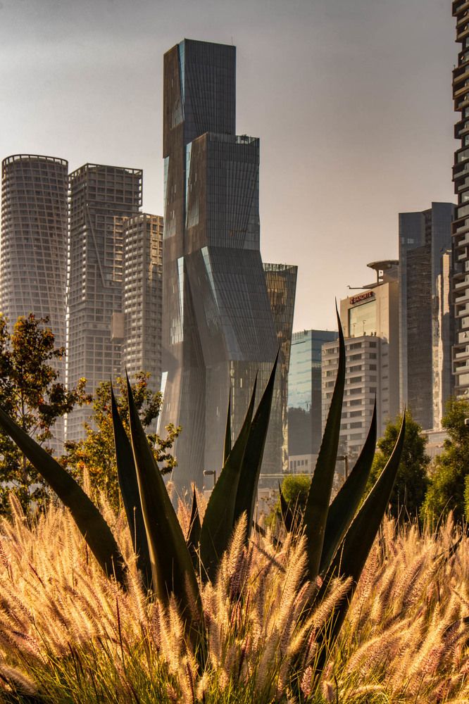 Photograph by Jorge Bagnuoli