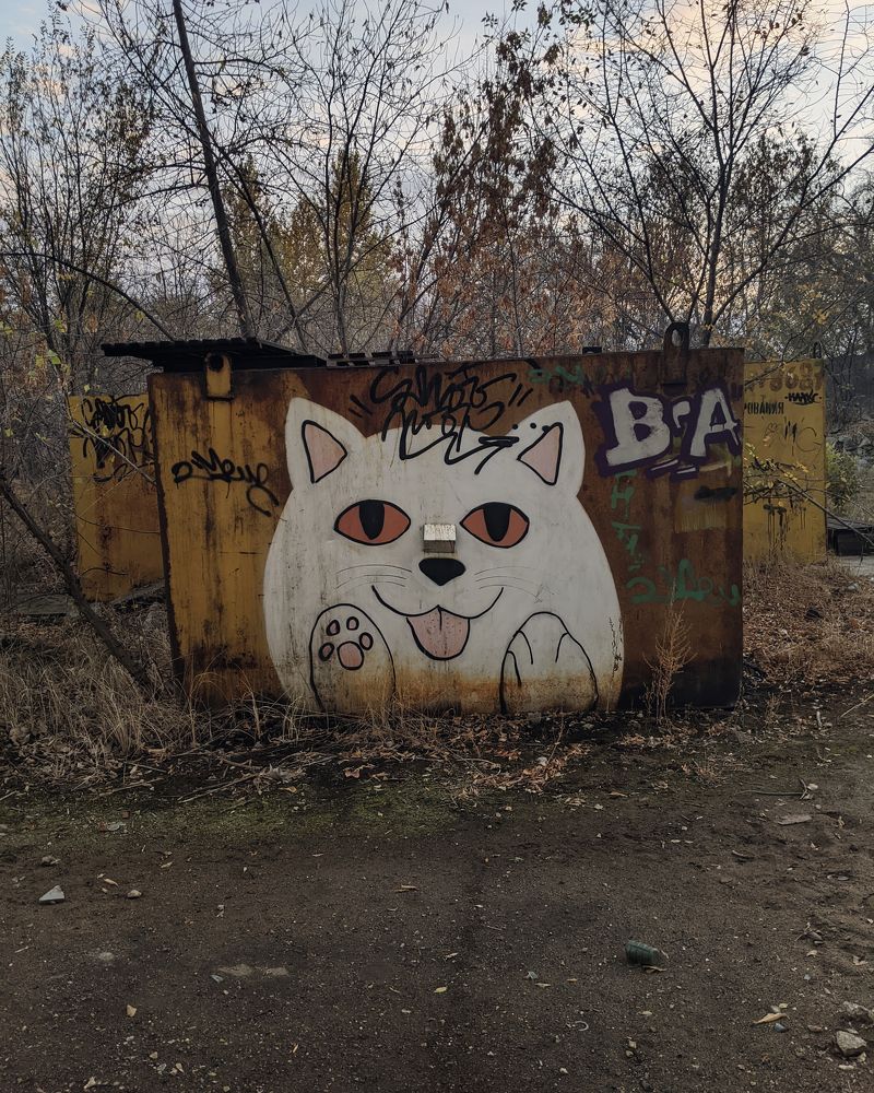 Photograph by Дудников Александр