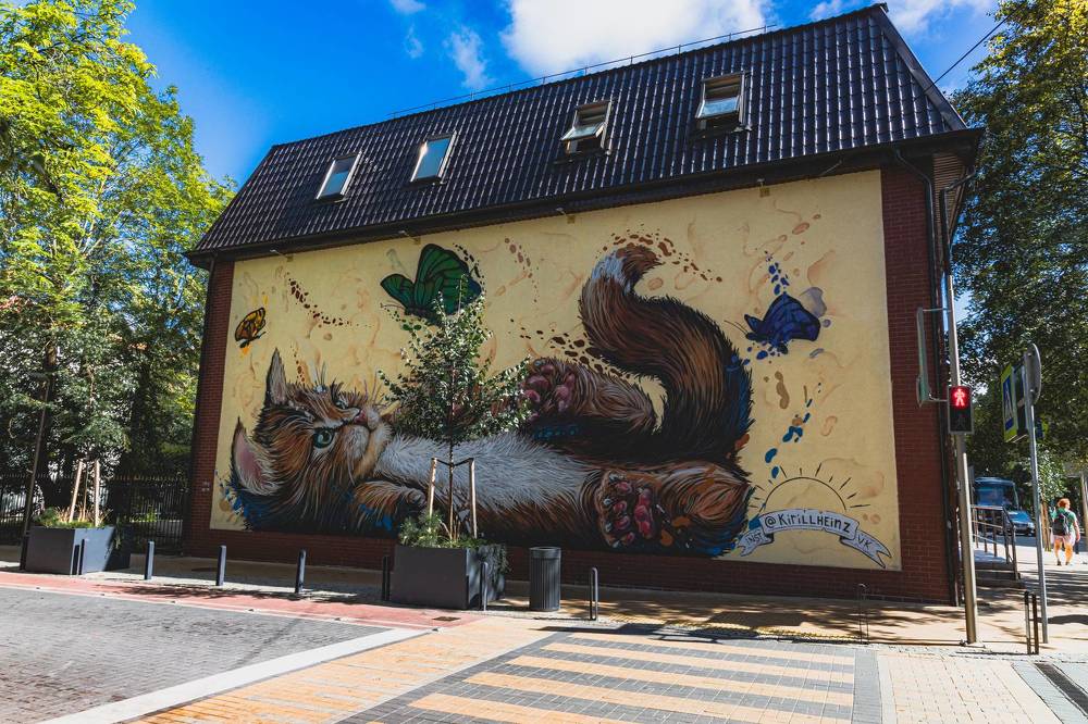 Фотография автора Ирина Гриценко