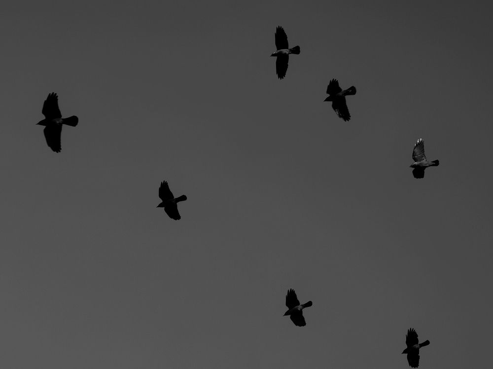 Photograph by Azzeddine Memmou