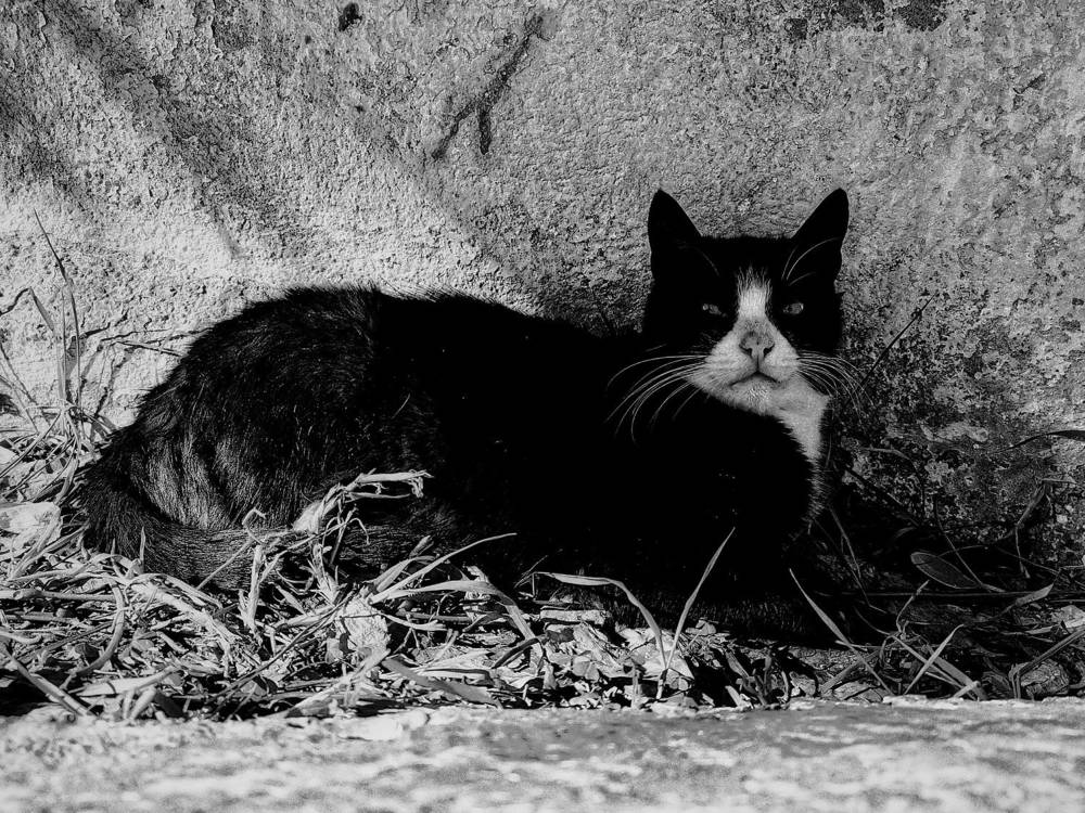 Photograph by Azzeddine Memmou