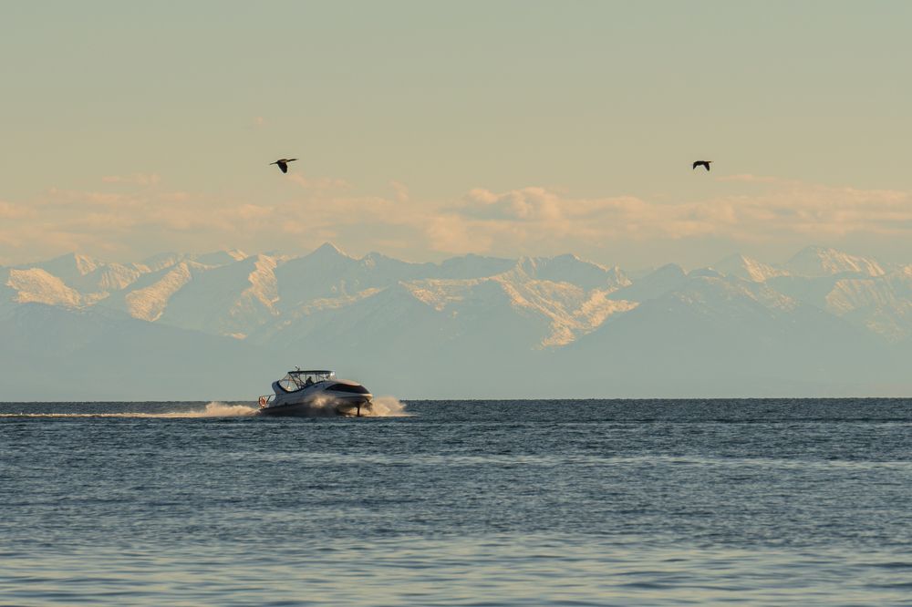 Фотография автора Марина Тирских