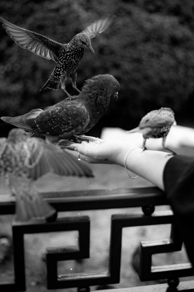 Photograph by Света Вирбицкас