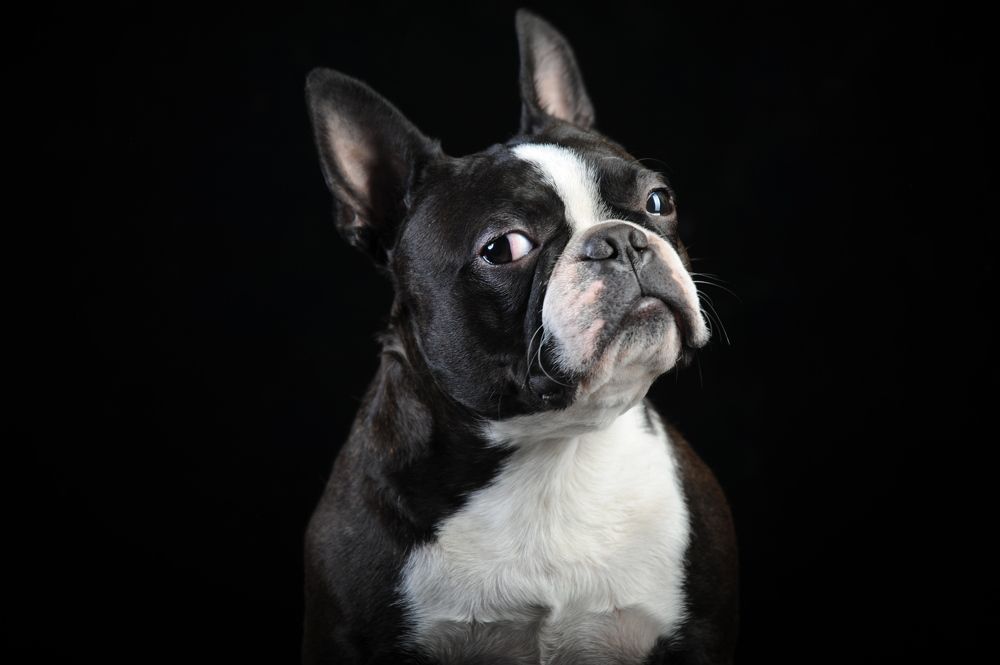 Photograph by Мария Лавриненко