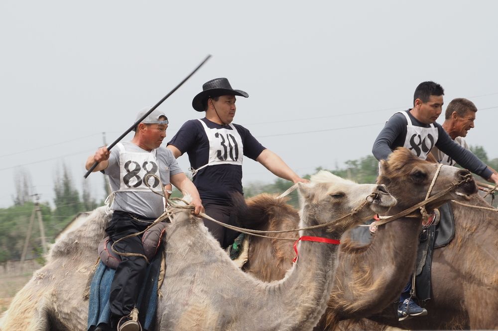 Photograph by Markov Alexander