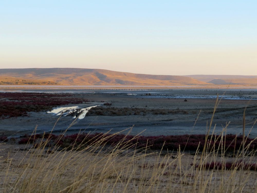 Photograph by Татьяна Стаскевич